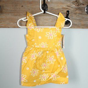 Size 12M Dress Brand new Carters